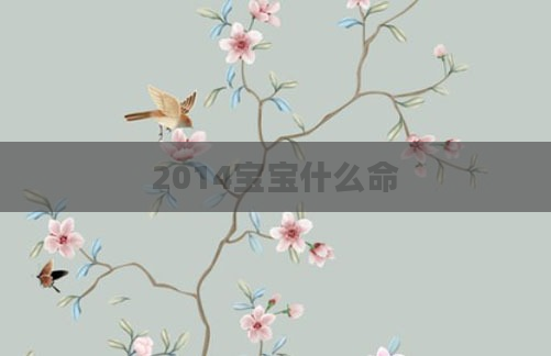 2014宝宝什么命