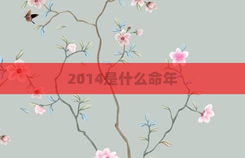 2014是什么命年