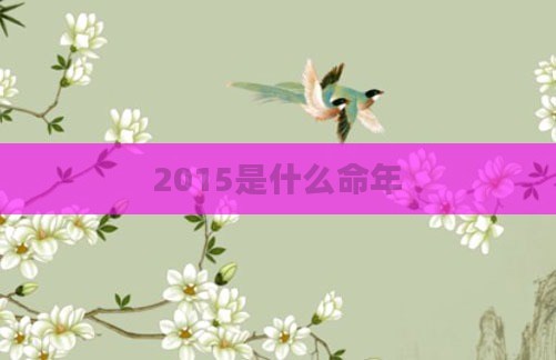 2015是什么命年