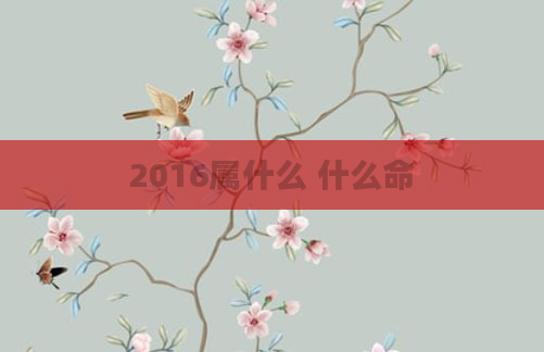2016属什么 什么命