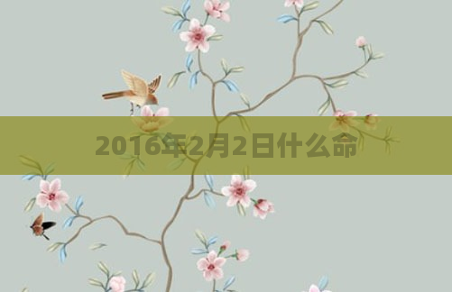 2016年2月2日什么命