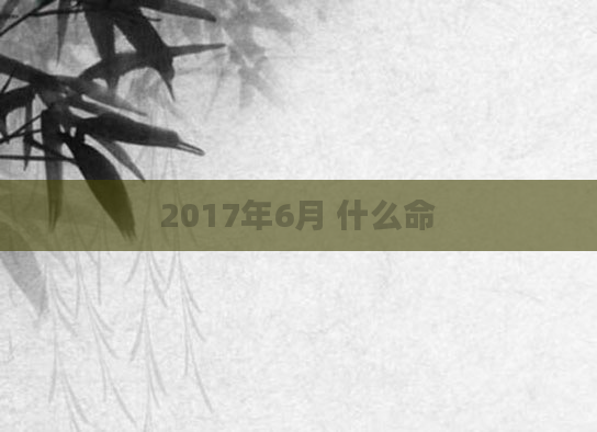 2017年6月 什么命