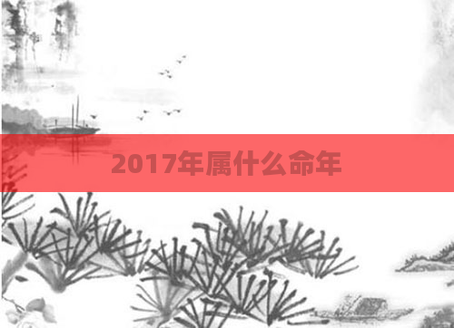2017年属什么命年