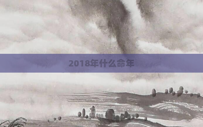 2018年什么命年