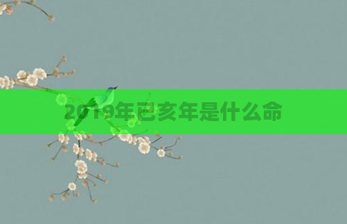 2019年已亥年是什么命