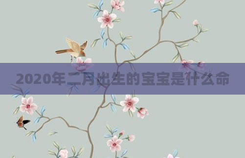 2020年二月出生的宝宝是什么命
