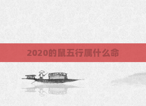 2020的鼠五行属什么命