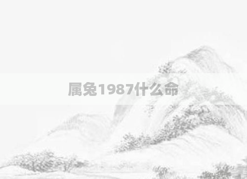 属兔1987什么命