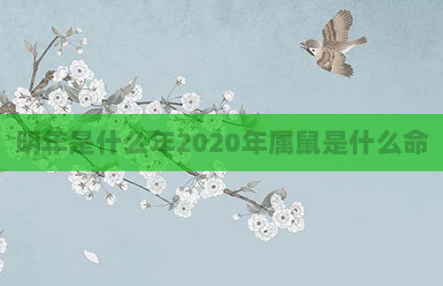 明年是什么年2020年属鼠是什么命