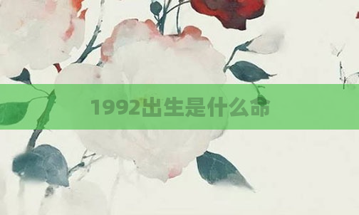 1992出生是什么命