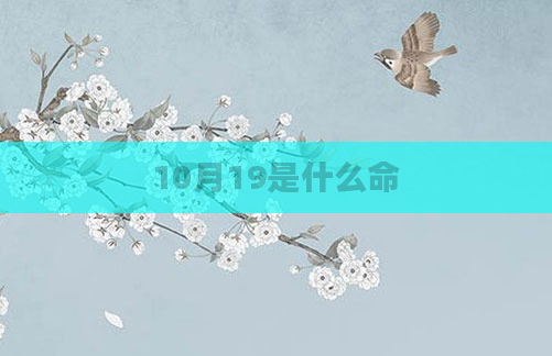 10月19是什么命