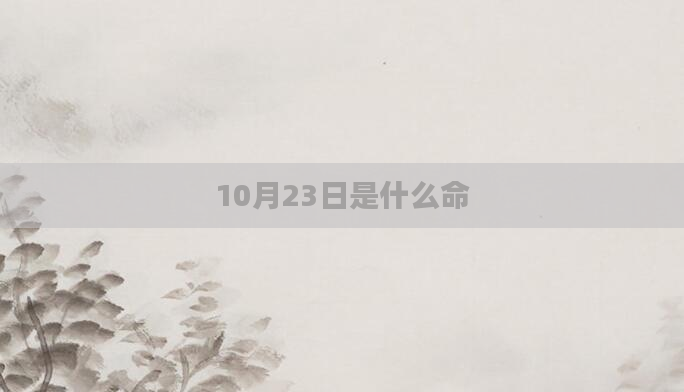 10月23日是什么命