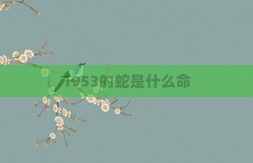 1953的蛇是什么命