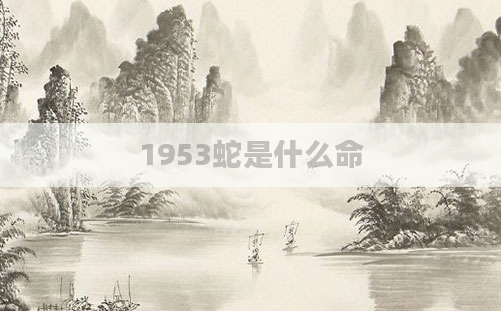 1953蛇是什么命