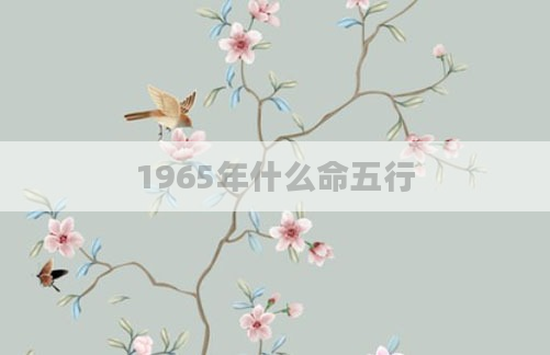 1965年什么命五行