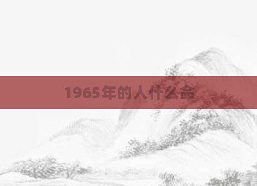 1965年的人什么命
