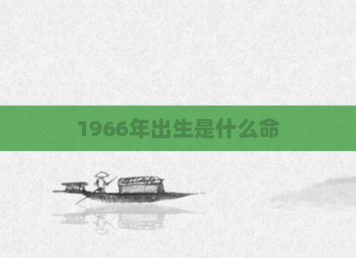 1966年出生是什么命