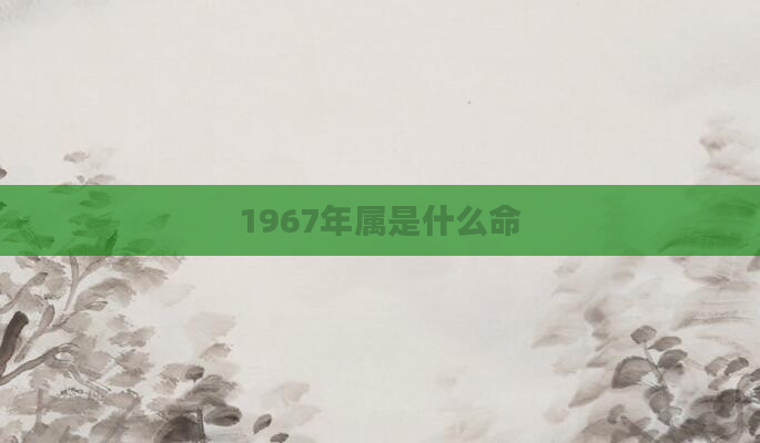 1967年属是什么命