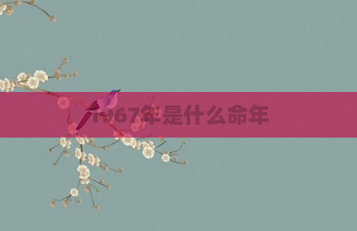 1967年是什么命年