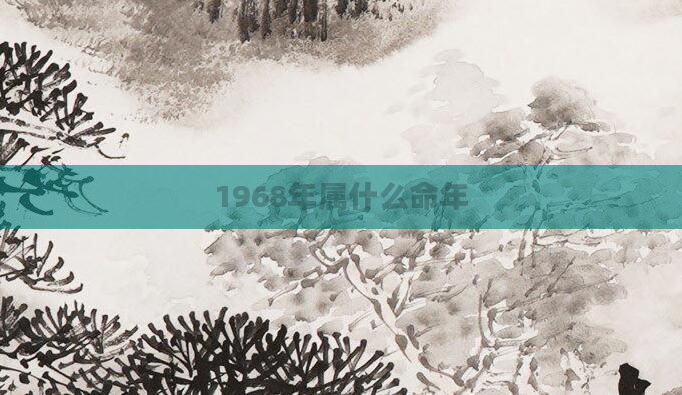 1968年属什么命年