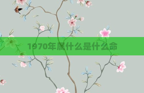 1970年属什么是什么命