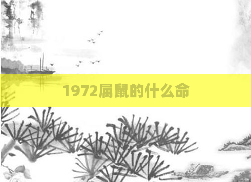 1972属鼠的什么命