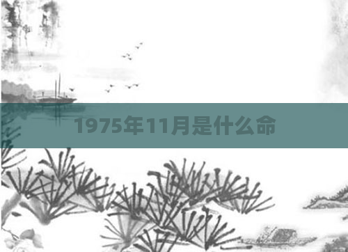 1975年11月是什么命