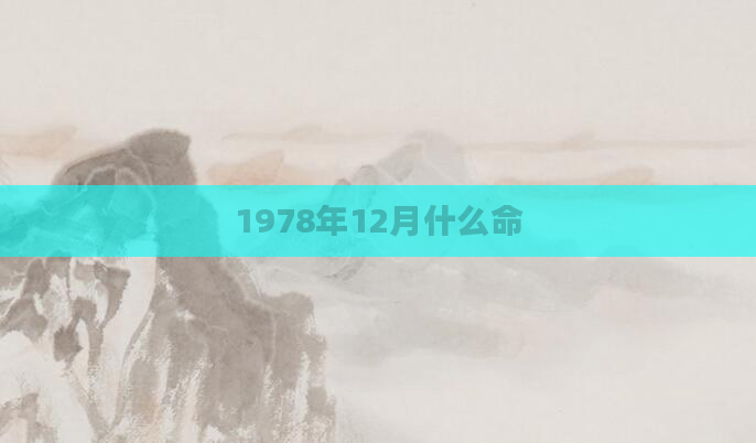 1978年12月什么命