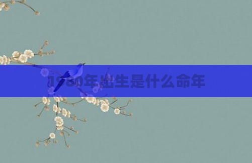1980年出生是什么命年