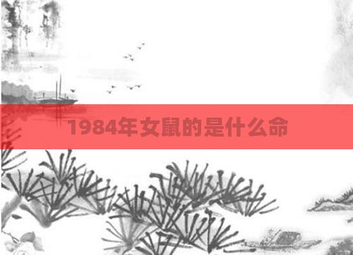 1984年女鼠的是什么命