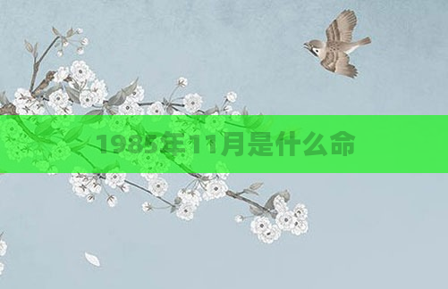 1985年11月是什么命