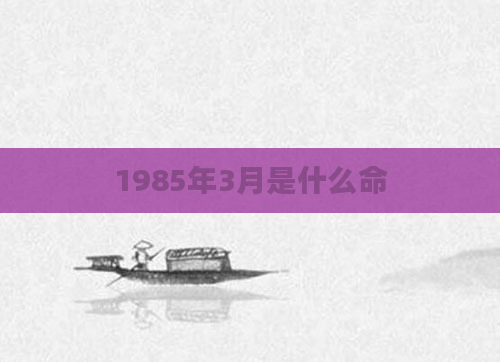 1985年3月是什么命