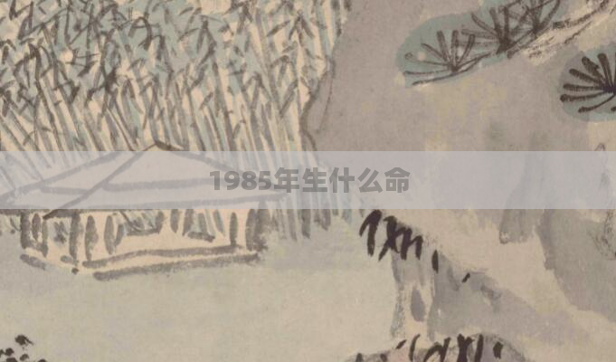 1985年生什么命