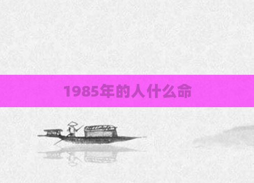 1985年的人什么命