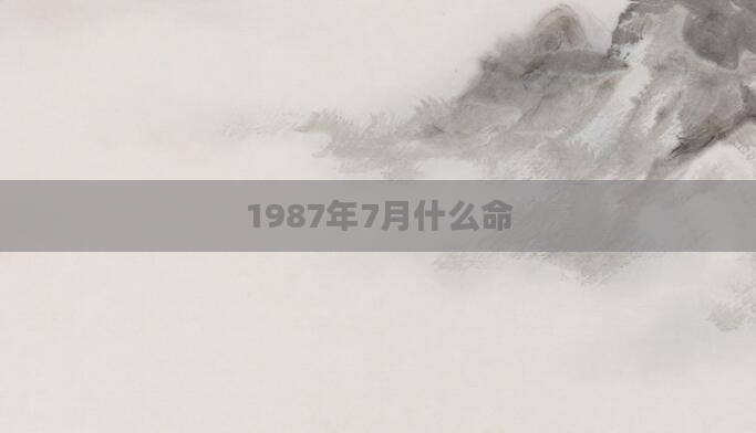 1987年7月什么命