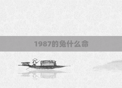 1987的兔什么命