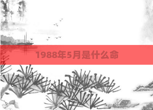 1988年5月是什么命