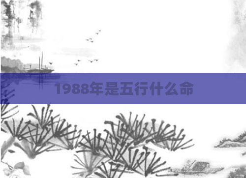 1988年是五行什么命