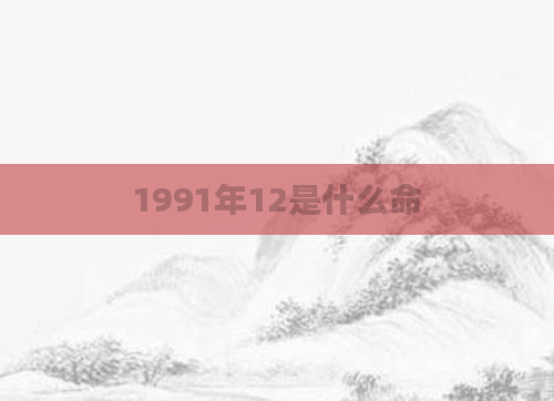 1991年12是什么命
