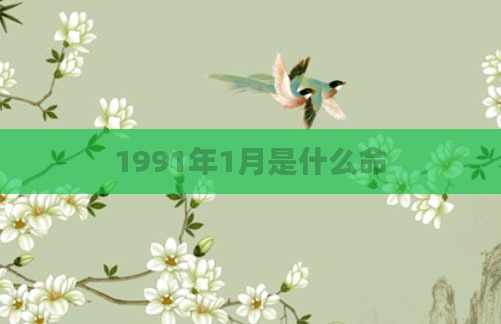 1991年1月是什么命