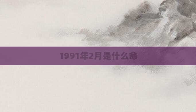 1991年2月是什么命