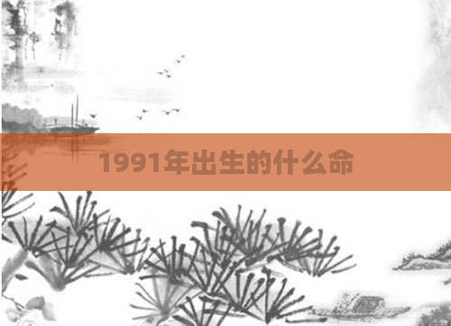 1991年出生的什么命