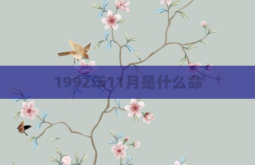 1992年11月是什么命