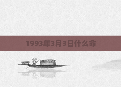 1993年3月3日什么命