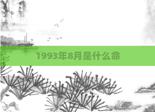 1993年8月是什么命