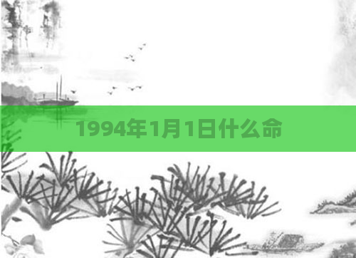 1994年1月1日什么命