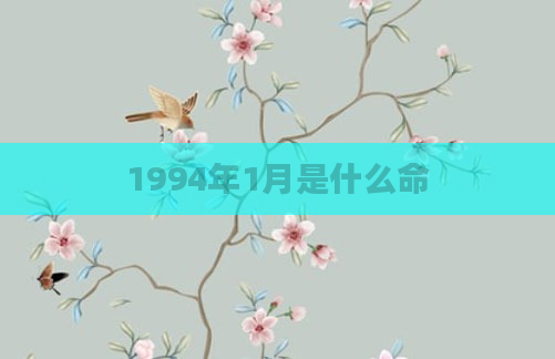 1994年1月是什么命