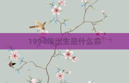 1994年出生是什么命