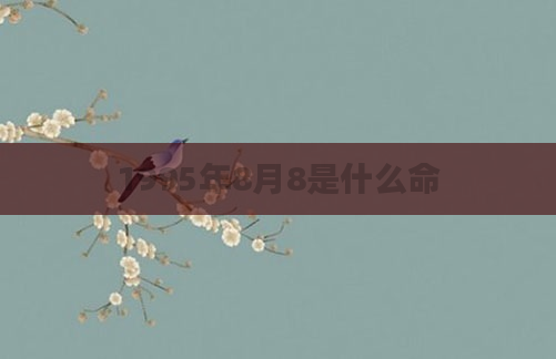1995年8月8是什么命