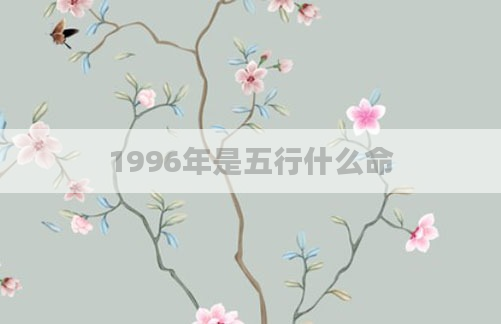 1996年是五行什么命